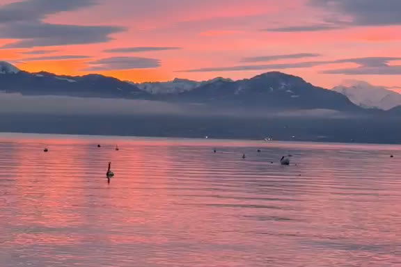 Aube rose sur le Léman et les Alpes