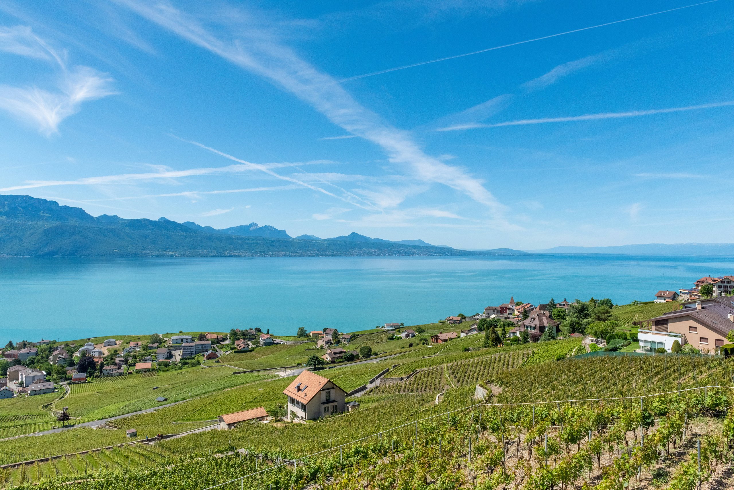 Le lac Léman