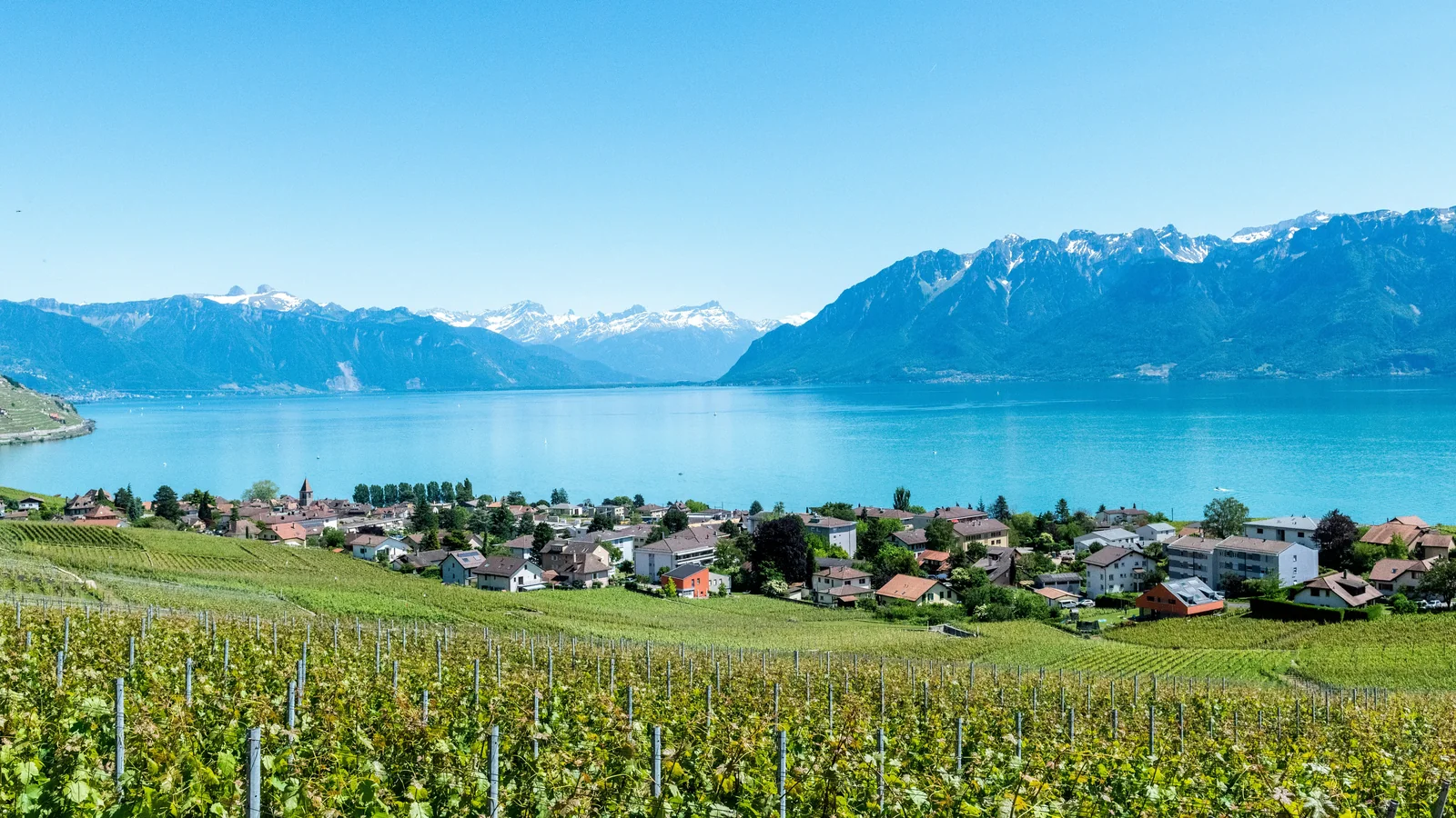 Le lac Léman et les coteaux, depuis Morges