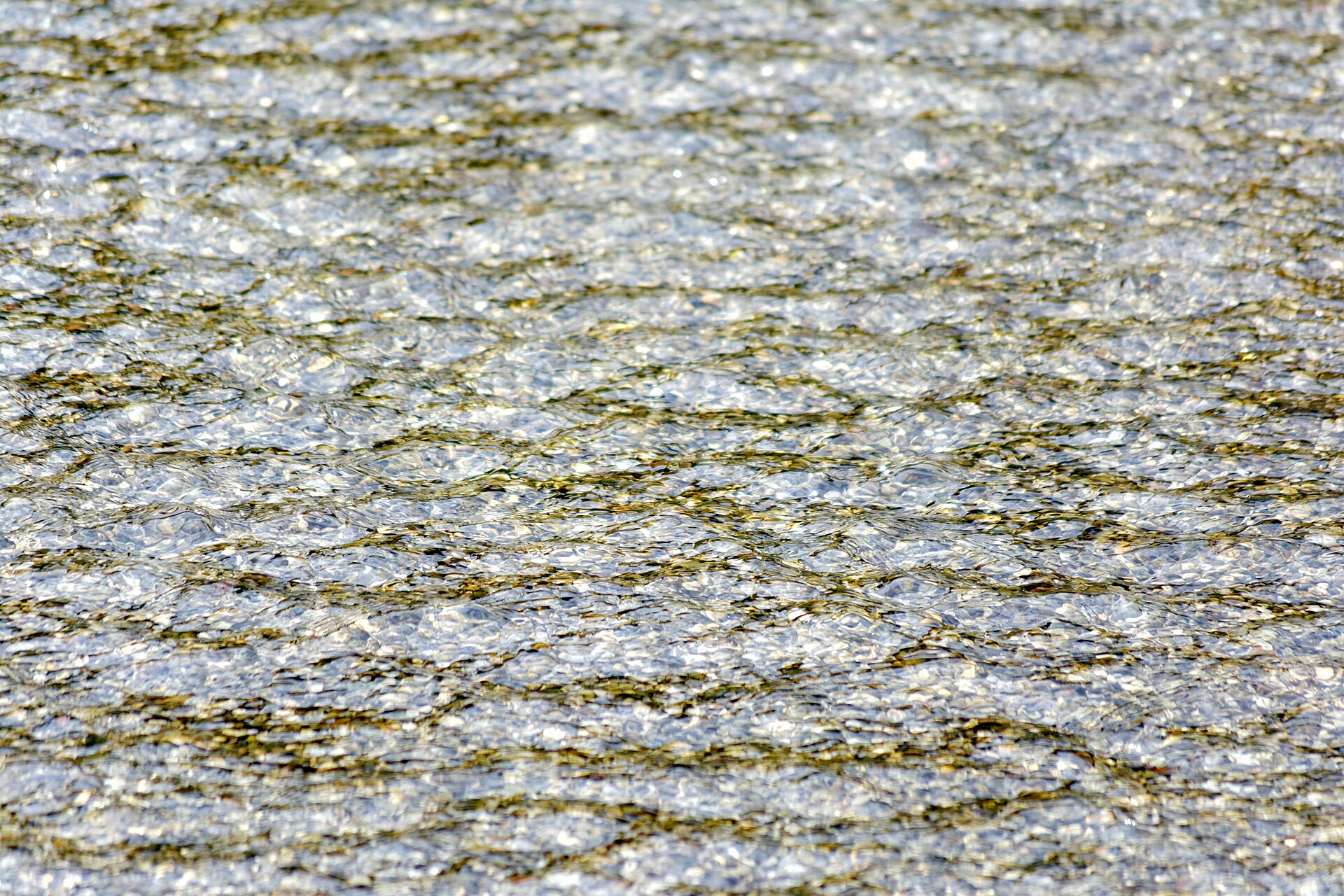 La surface de l eau, en gros plan